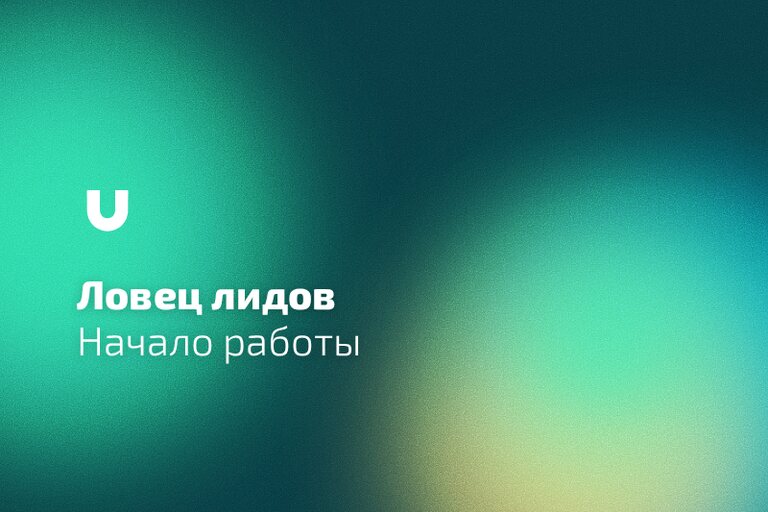 Настройка «Ловца лидов»
