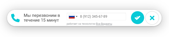 Форма заказа обратного звонка на сайте